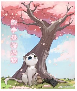 新手養貓指南