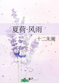 夏荷·风雨