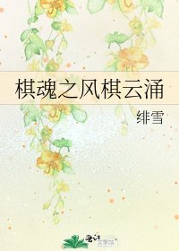 棋魂之风棋云涌