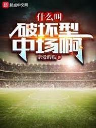 什麼叫破壞型中場啊